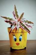 Tweety the Bird's Face Pot ₹ 400