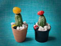Grafted Cactus