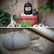 Shiva Linga