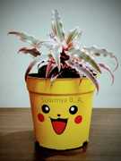 Pokemon's Face Pot ₹ 400